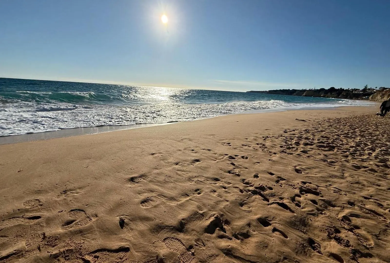 Apartment Algarve Near Beach Armacao de Pera Portugal